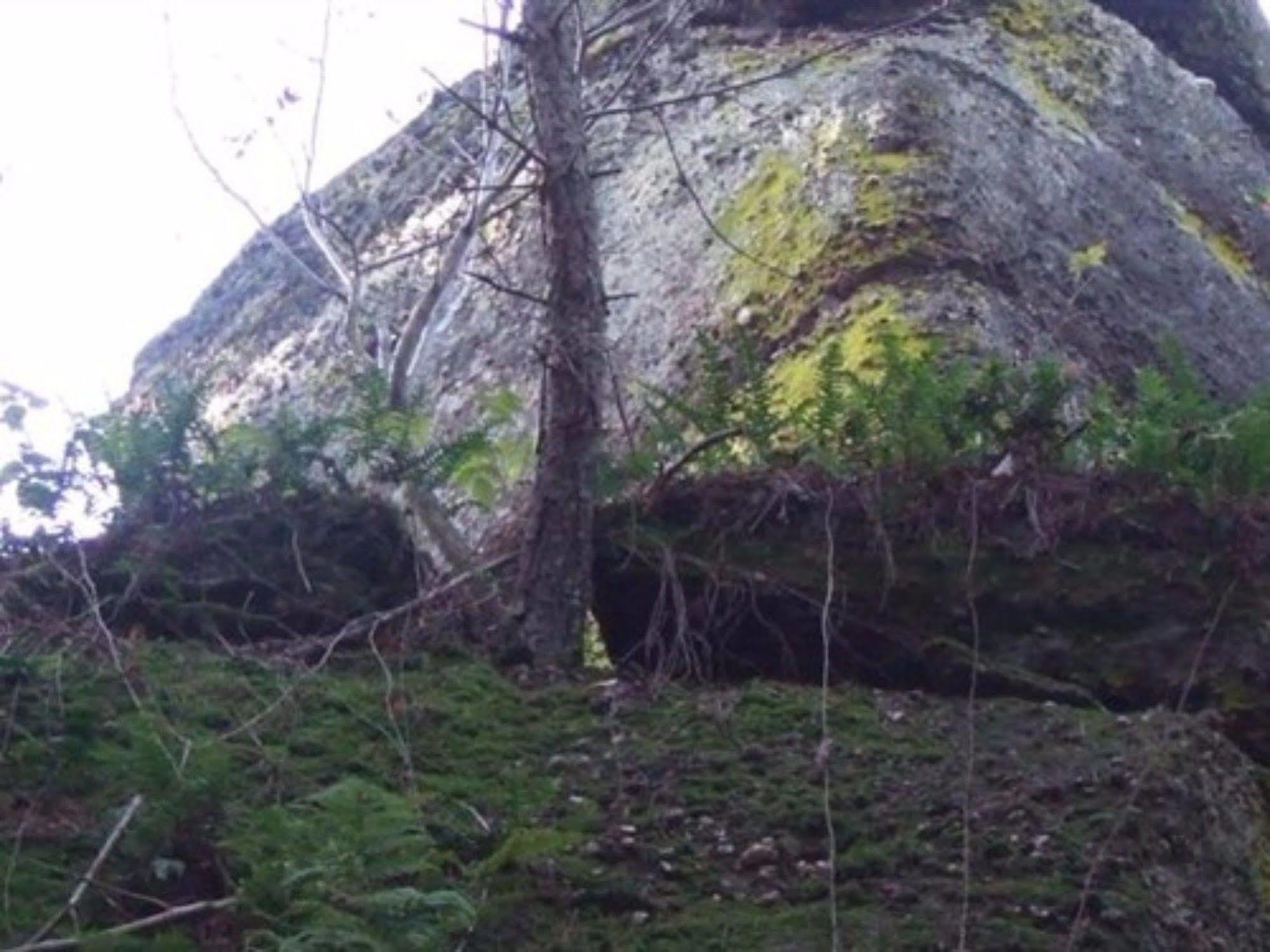 Auberge D'Hotes L'Instant Hotell Le Hohwald Eksteriør bilde